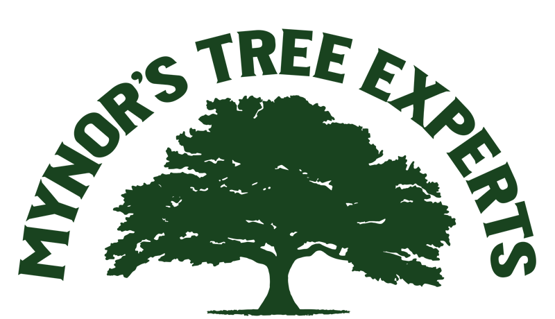Mynor's Tree Experts